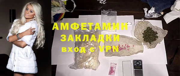 шишки Богородицк