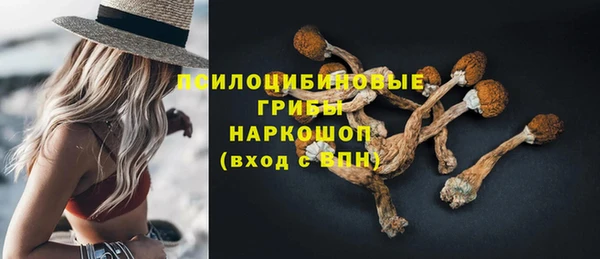 соль курить ск Богородск
