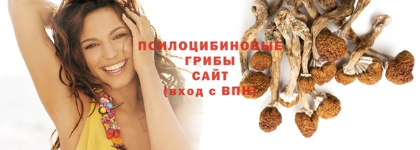 мдпв Бердск