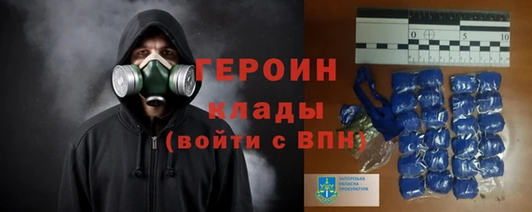 шишки Богородицк