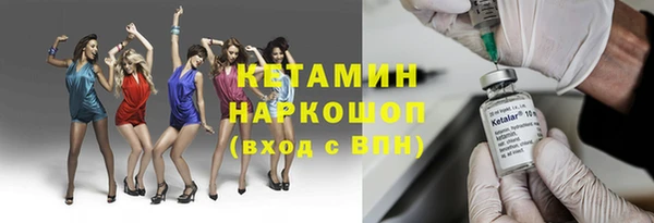 шишки Богородицк