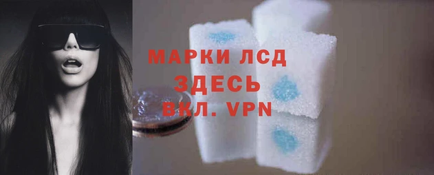 ешки Богданович