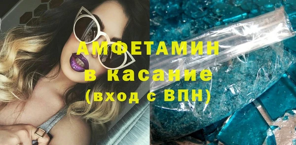 шишки Богородицк