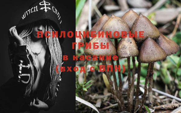 ешки Богданович