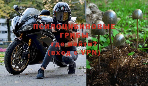 шишки Богородицк