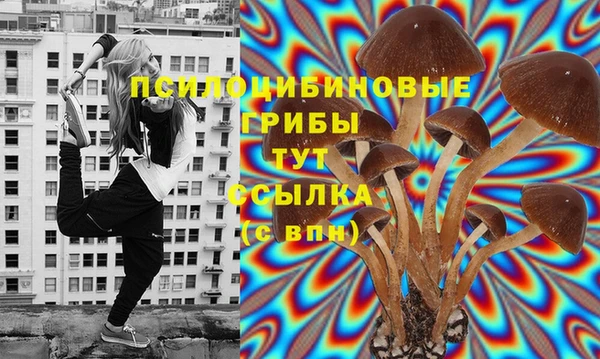 шишки Богородицк