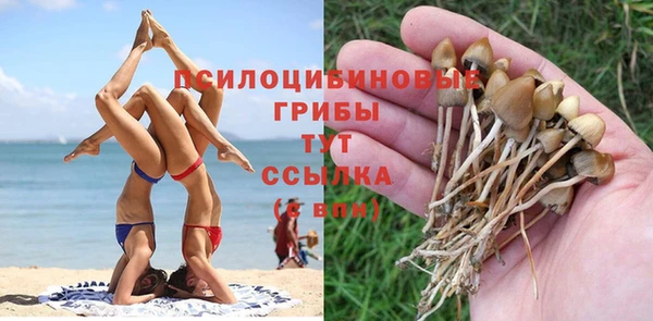 apvp Нязепетровск