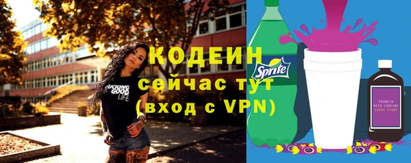 шишки Богородицк