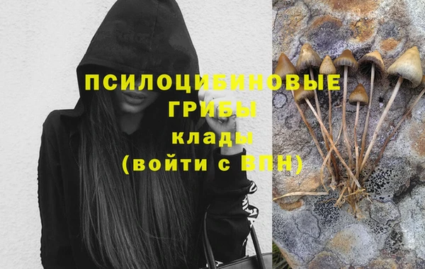 шишки Богородицк