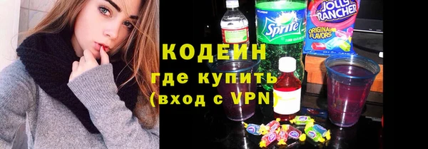 шишки Богородицк