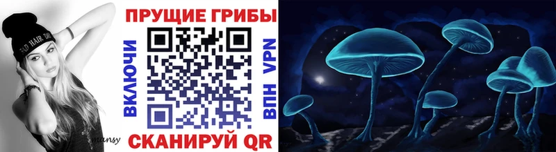ссылка на мегу как войти  Вичуга  Галлюциногенные грибы ЛСД 
